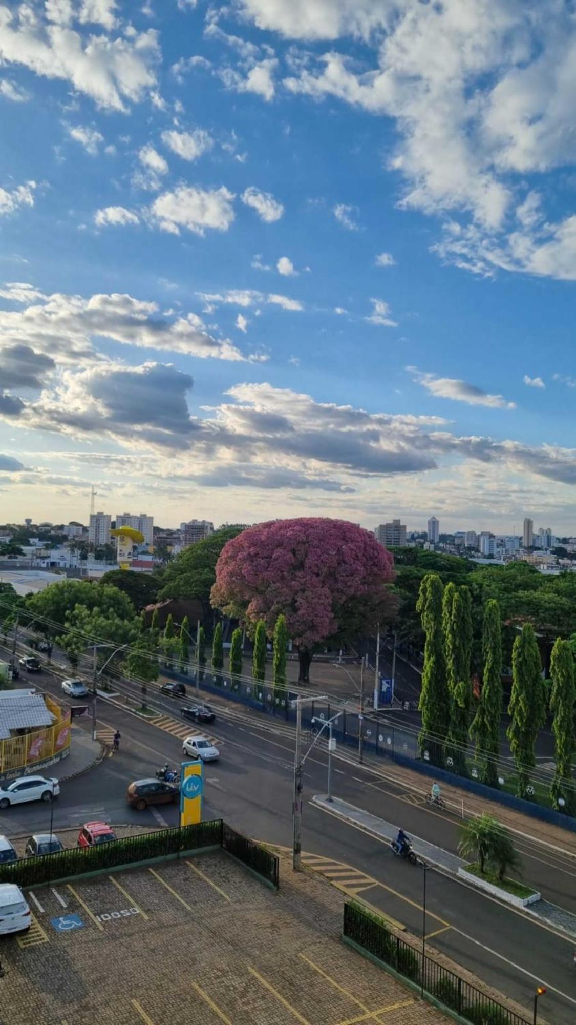Golden Park Uberaba Otel Oda fotoğraf